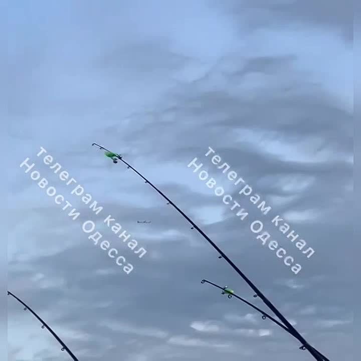 ������ � ���� ��� �������