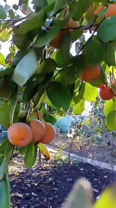 ���������� ������ � ���� �� ������ ����� � ����� �������