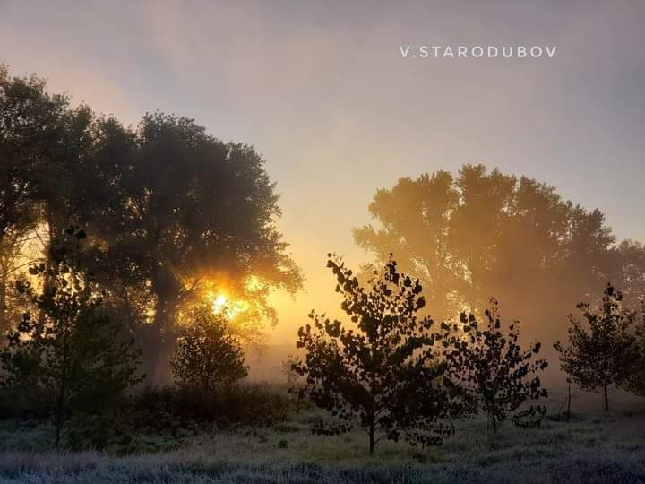 ���������. ������� �� ����� �������