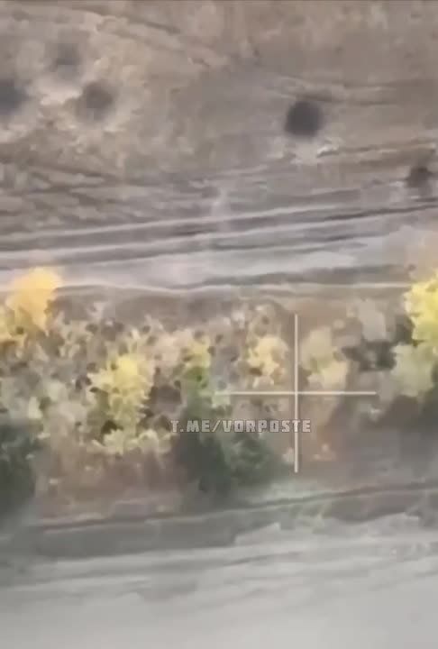 ��� ���� ������� ����������� �������� ��� �� ���������� ������ ���������� ���������