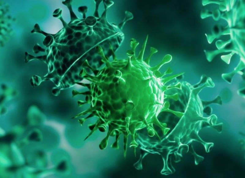 ����������� ����� �� ������ �����: � �������� ������������ ���������������� ����� ����� � �������