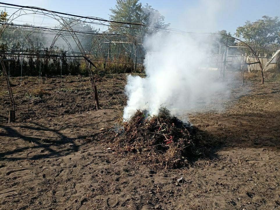 ���������� ������������� ������� �������� ���, ��� ������� ������� ������