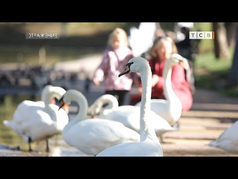 ����� ���������, ��������� ����� �������� �� ��. ������ ��� ������� ��������� � ������ ����. �� ��� ���, ��� ���� �������...