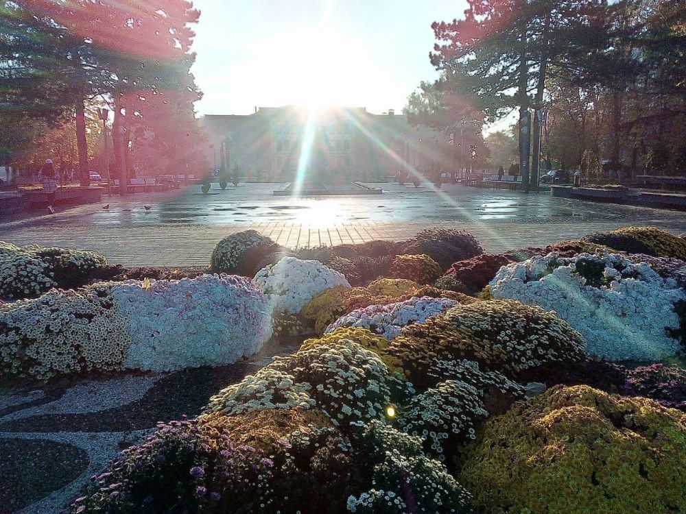 ������������ ���������. ��� �������� ���������, ������������ ���������� ������������ ������