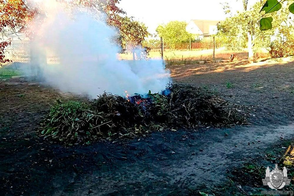 ����� ����� 1000 ������