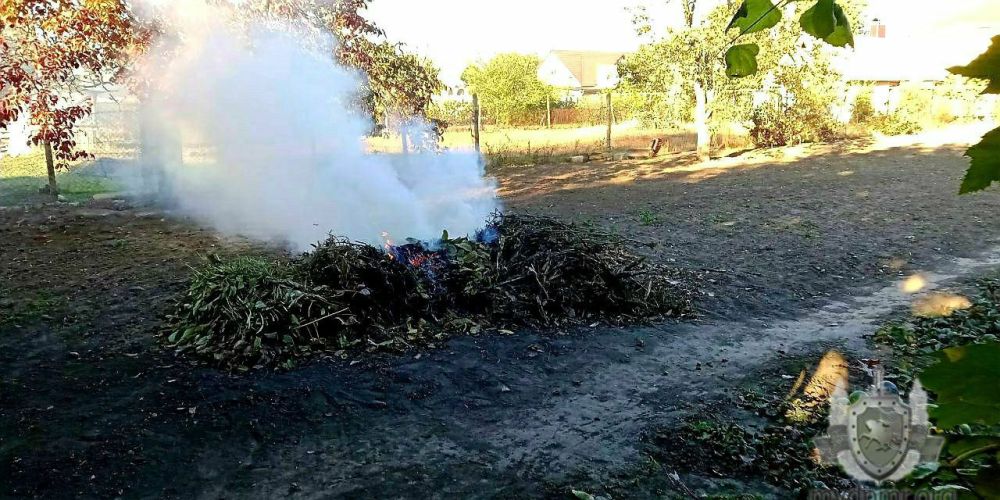 ����� ������ 1000 ������ �� �������� ������