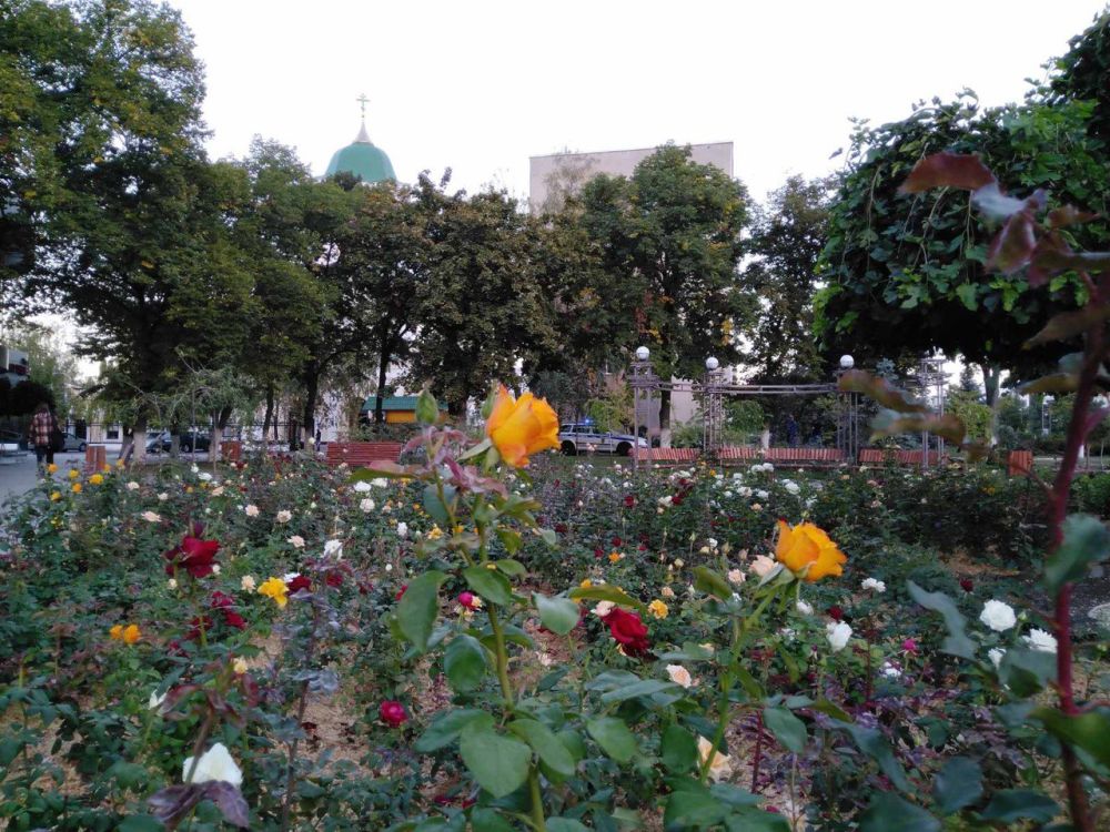 ������ ������ �����, �������� �� �������� ��������� ������