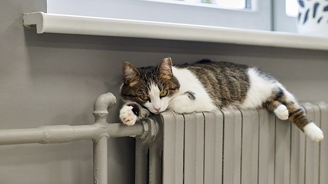 ������� � ������������� ������ ���������� ����� ����