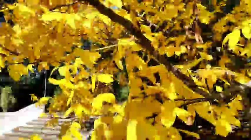 ����� � ���������. ���� ������ ��������������