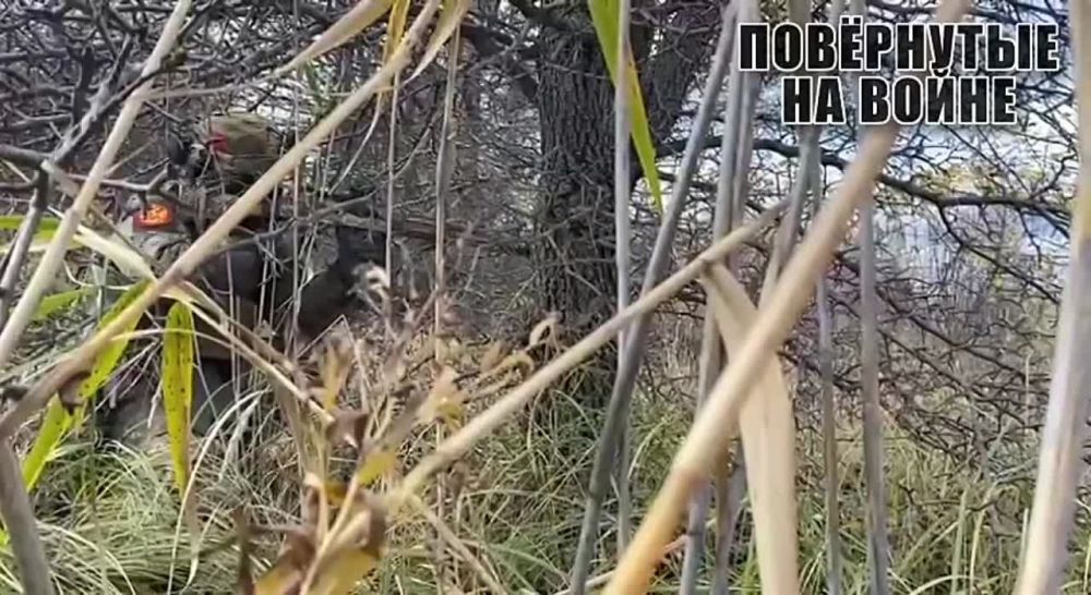 ������� ������ �������� ��� �� ���������� ��������