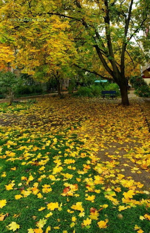 ������������ �������.. ���� ��������� �����������