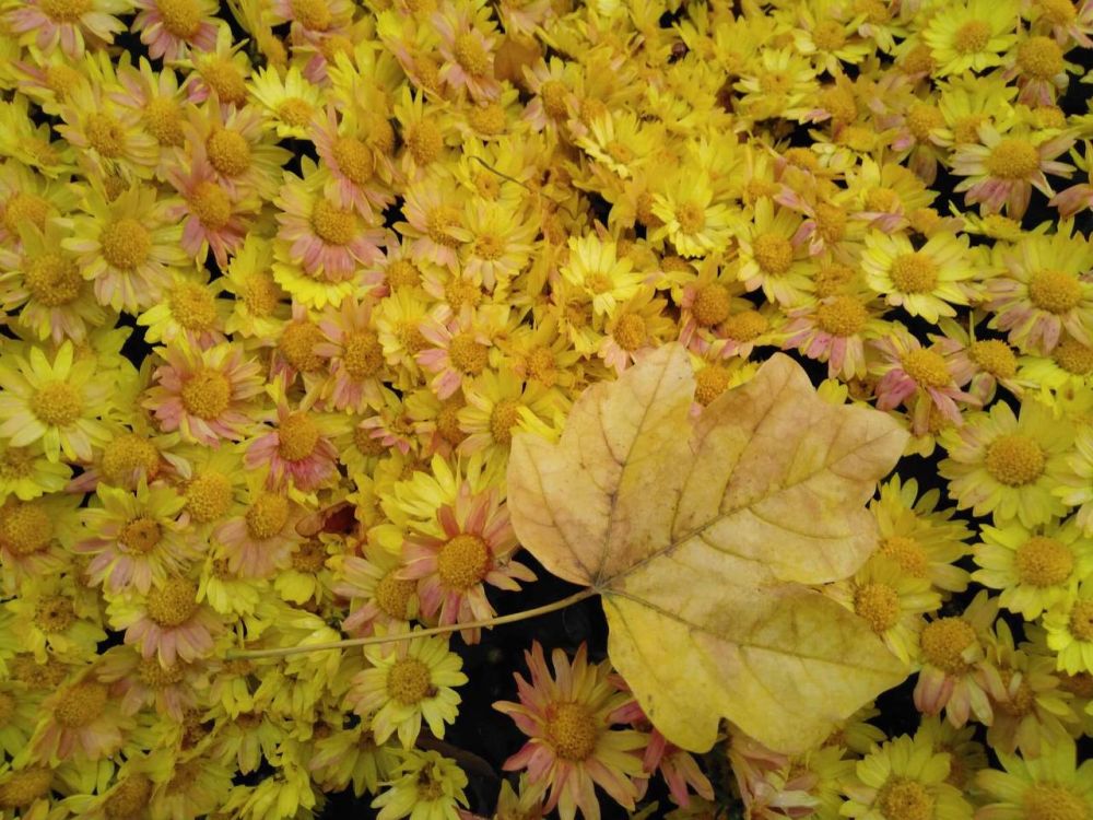 26 ������� ��������� ���������� ����������, ����� ������� ��������������� �����, ������� ��������� ����� �� ����� �� � ��