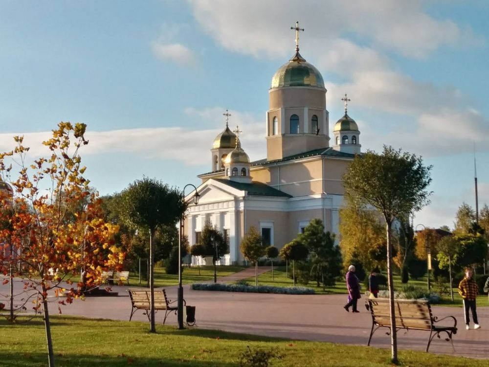 ������� �������� ������ �������