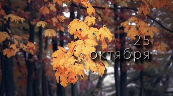 25 ������� ������� ���� ������� �� ���, ���������������� �������� �������� ��������� ��������� ��������������, ����������� � ���������