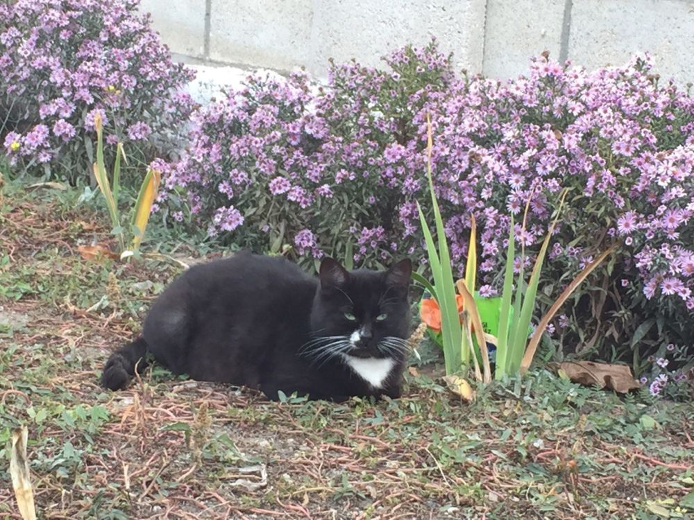 ����� ������ ����� �� �������