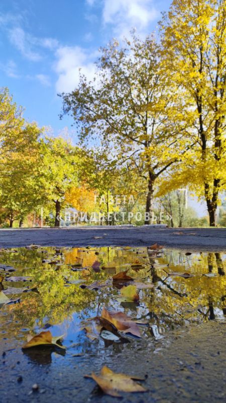 ������������� ���������� � ����� �����