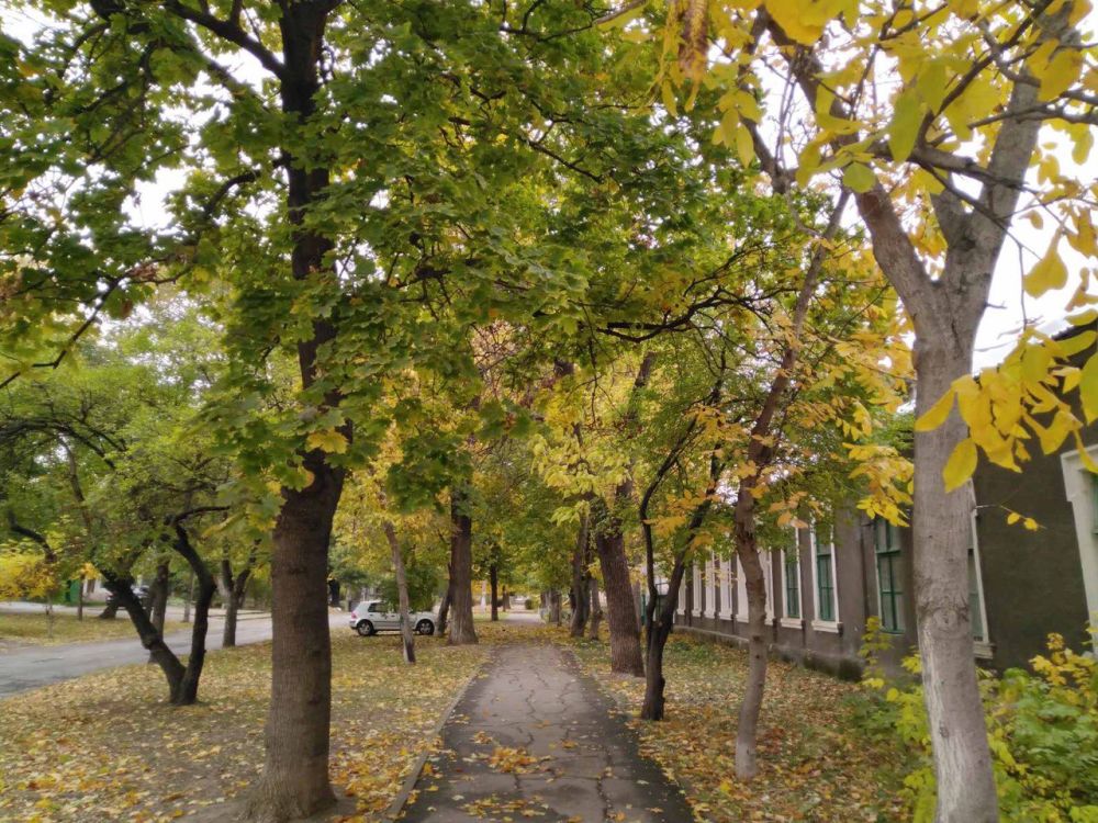 ������, 28 �������, ��������� ���������� ����������, ��� �������, ����� ������� �����, �������� ��������� ����� �� ����� �� � ��