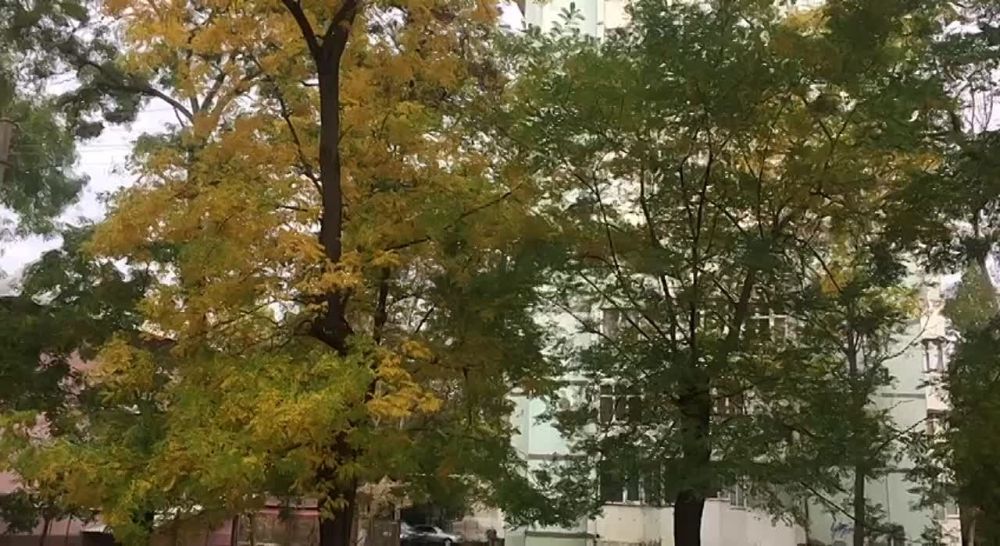 ������� � ������� ������