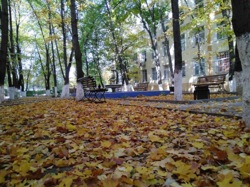 29 ������� ��������� ���������� ����������, ��� �������, �������� ��������� ����� �� ����� �� � ��