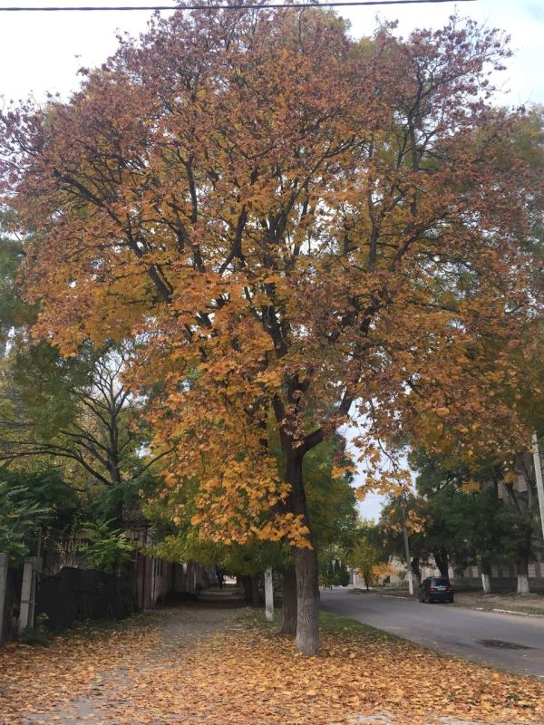 �������������� ����.. ���� �� ������