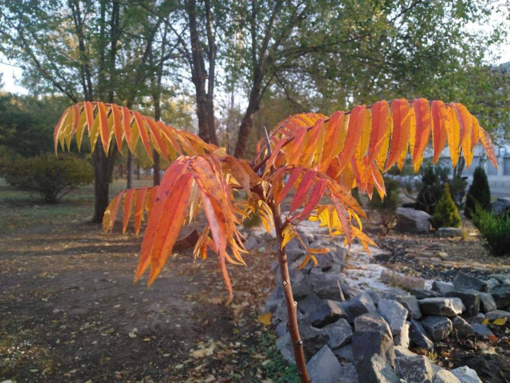 ������ �����. ���������, ������������ � �������� ������� - ��� ��� ����� ������ �����. ��������� ������� - ��� ���� �����, � ��� - �� ���������, �� ����� �� �������� � �� ���������, ��� ������ ����� ���..