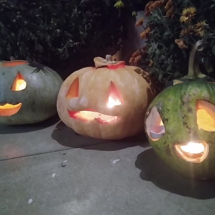 � ���� ���� ������ - ��� ����� ������������ �������