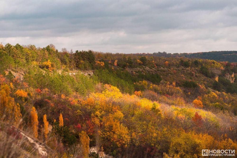 ������������ ����� � �������������