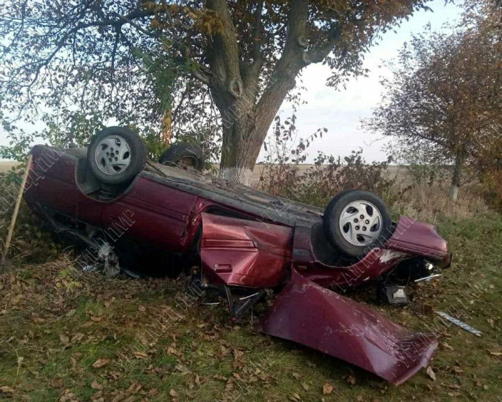 ��� � ��������� ������: �� ������� ������ ����� ������ ������� � �������� ������������� ������