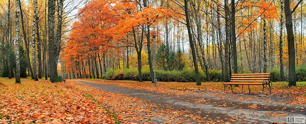 ������ ��������� ���� �������, ����� �������������, ����� � �������� ����� ��������� ������������� ������� ������� � ������������� �����������