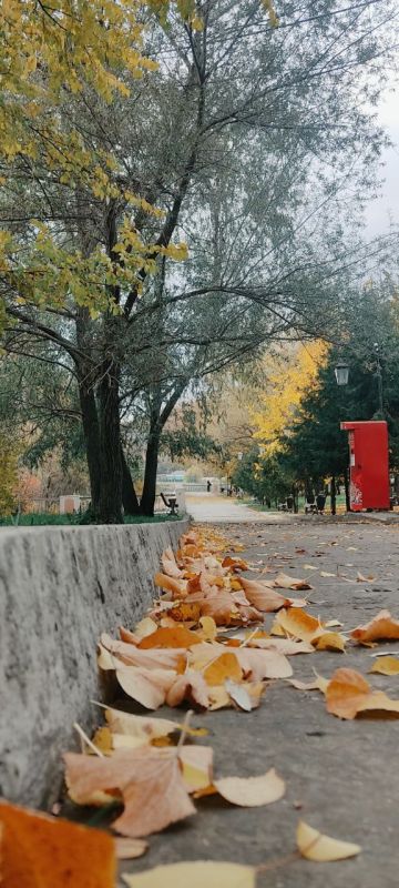 ����������.