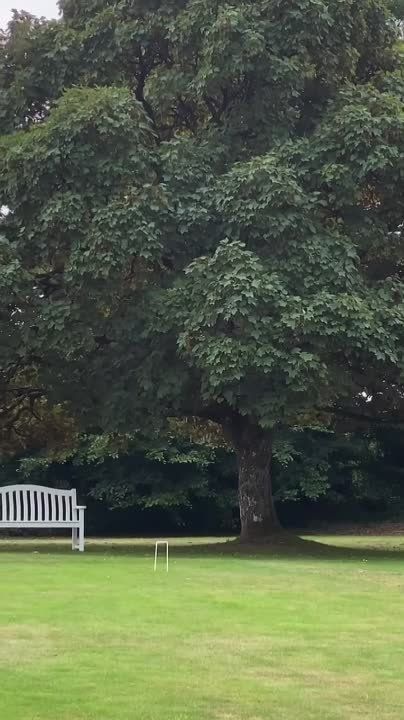 ��������� ���������