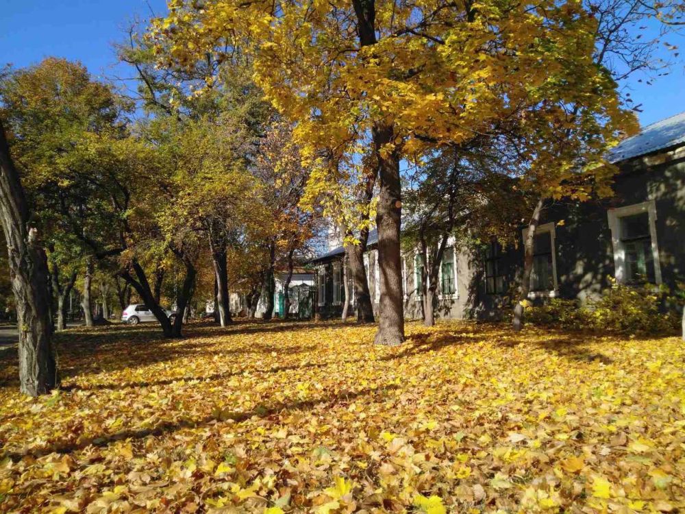 ������ ���, ����� �� ������, ��� ��� ��� �� ����� ��������� ����� ���� �����, ����� ��������� ��������� ���������� ���� ������� ����, � ����� ������ ������ ���. � �� ���� �������� �� ����� ���������� �����