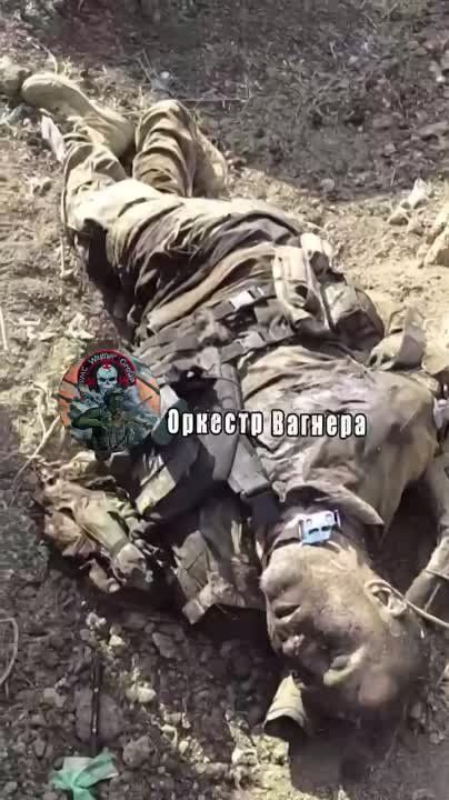 ������� �������� ��������� ������ ���������� �������� ����������� � ����������