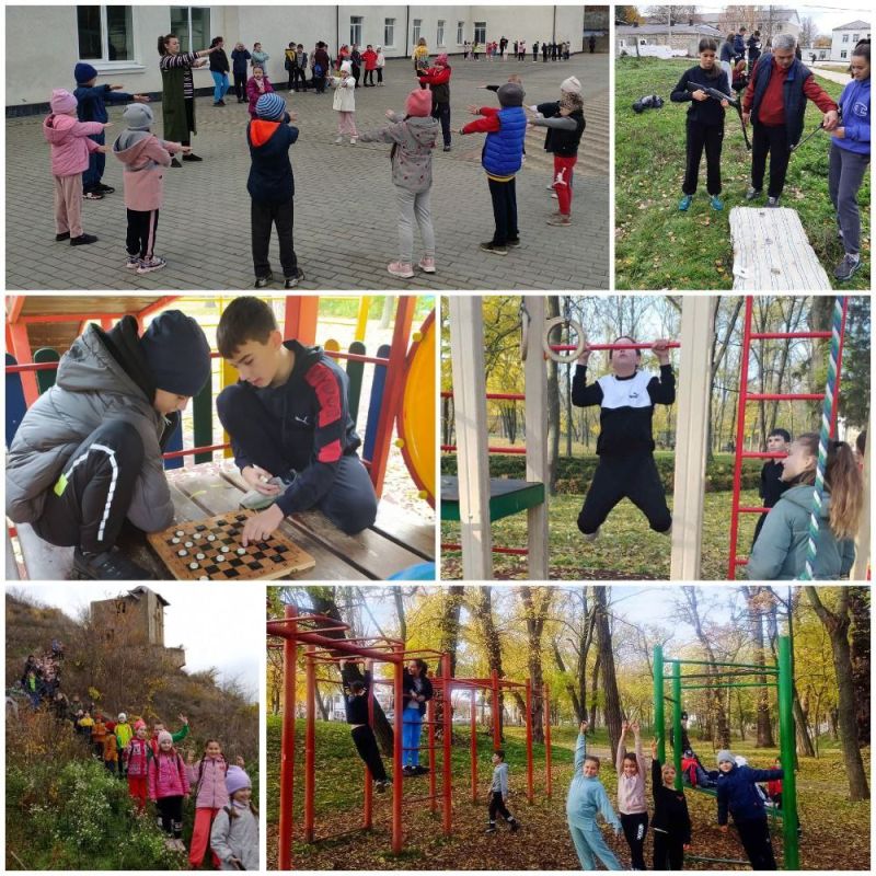 ���� ��������. ������� � ������ ���������� ������ ������ ���� ��������. ������ ������������ ������ � �������� �������, ���������� �������� � ������