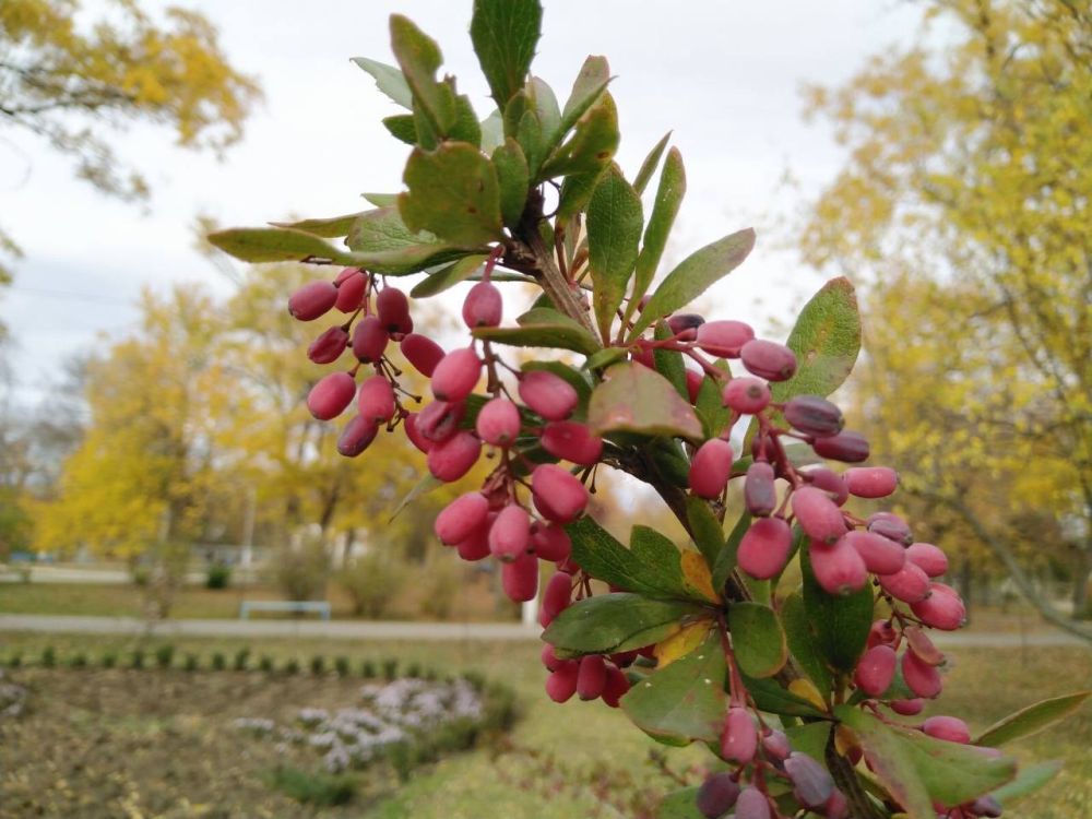 � ������ ��� ������ ����, � � ��� ����� � ��������