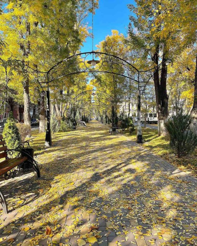 ������� �������� � �������