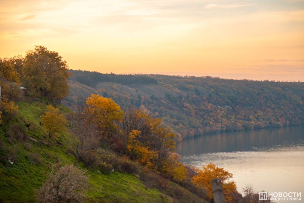 ��� ����� ��������� ������� ����� ������� � ���� ����