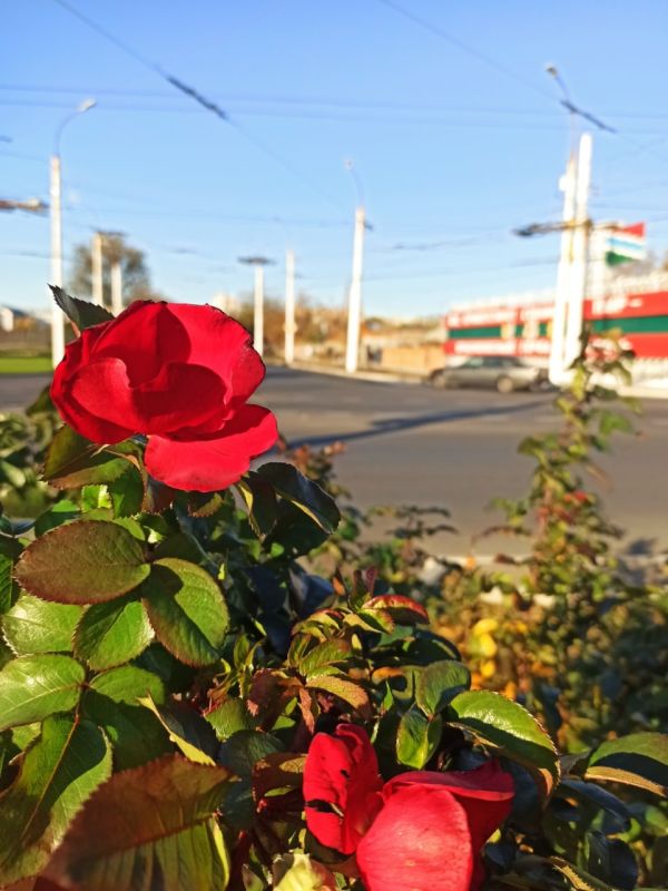 �� ������ � ��������� ���������� ����