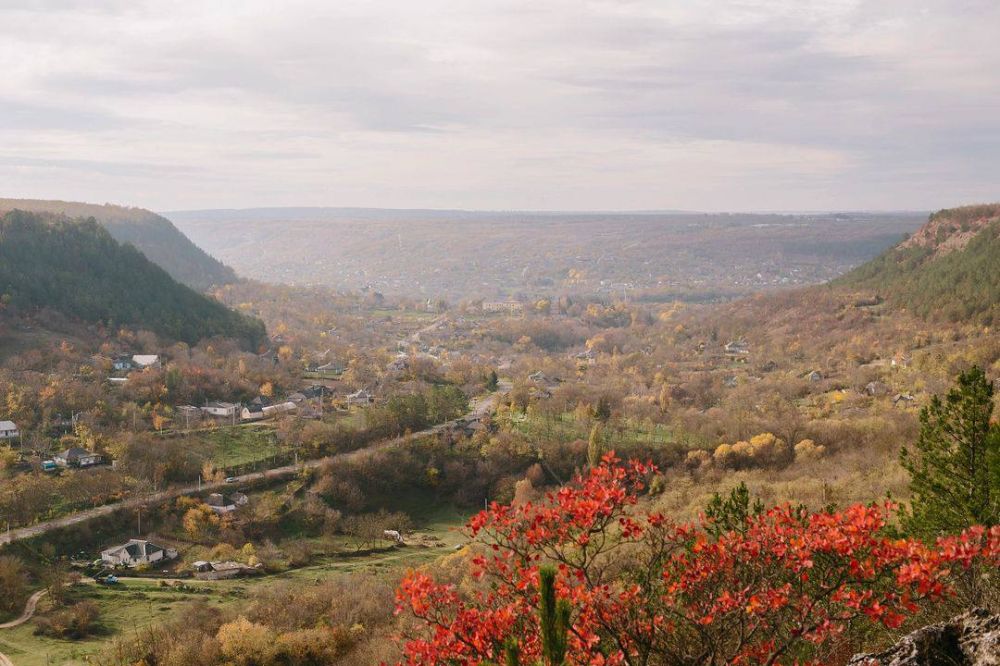 ������� ������. ����: eximos