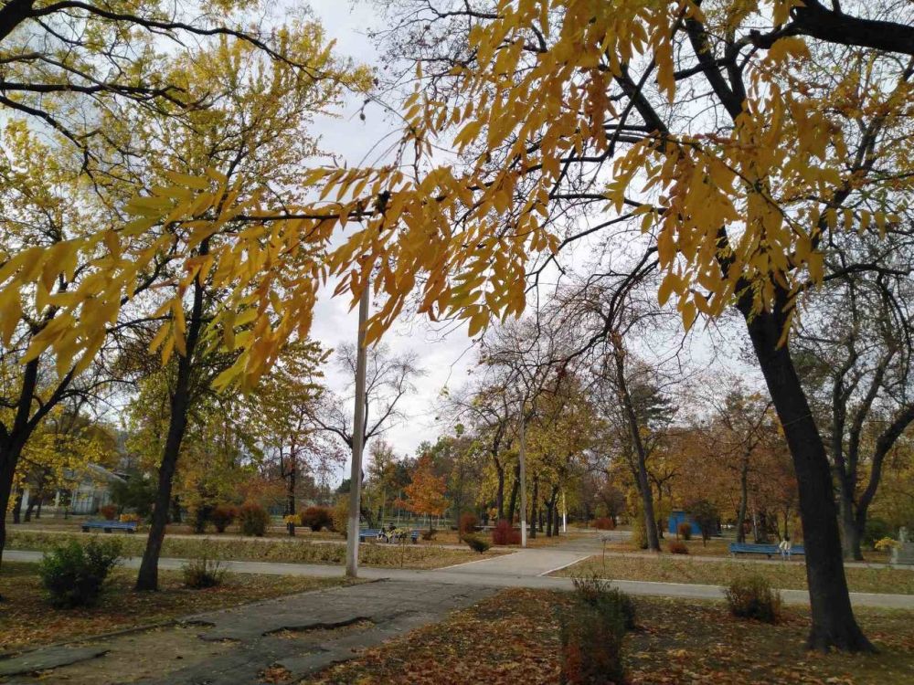 �� �������� ������� ����