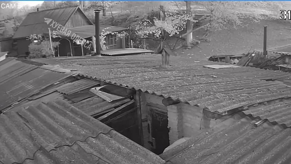 ���� ����� � �������� (�������� �������) � ���������� ������ ���� ��������� ���, ������� 77-������ �������