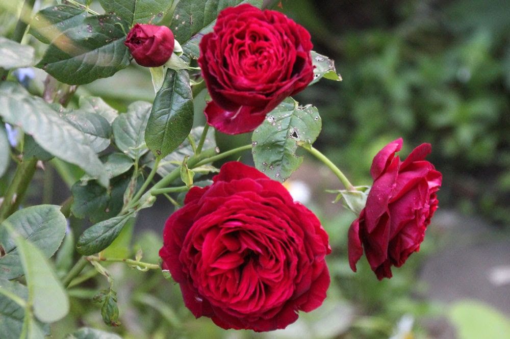 �� ������������������� ����������, ������� ������� 7 ������, ��������� ������� ������� � ������ ������� � �����������