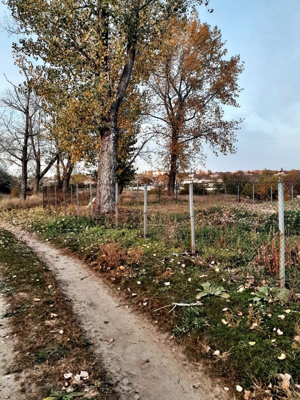 ���������. ������� � ������