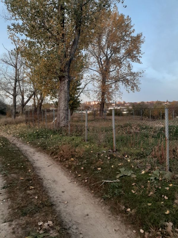 ����� � ���������. ���� ����������