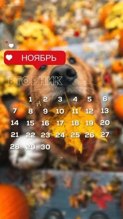 ������ ���������� ����!