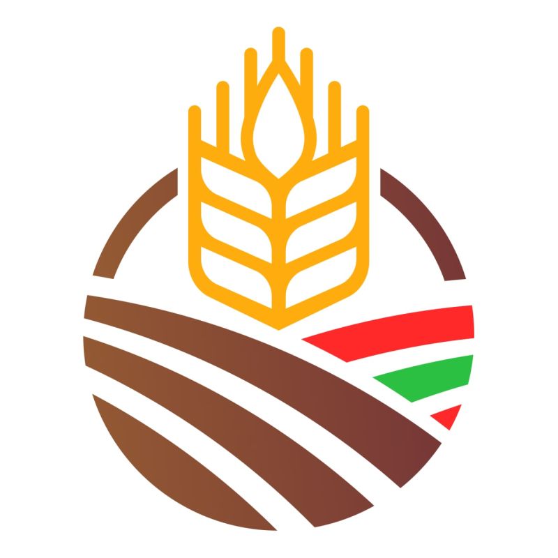 ��� ����� ��������� ������� � ���� ����������������� ��������� (2023-� ���)