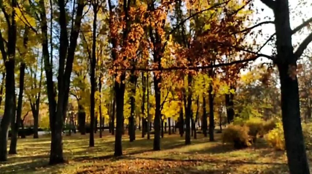 �����, ������, ������ - ��� 1 ������, ������ ���� ���������� ������ �����