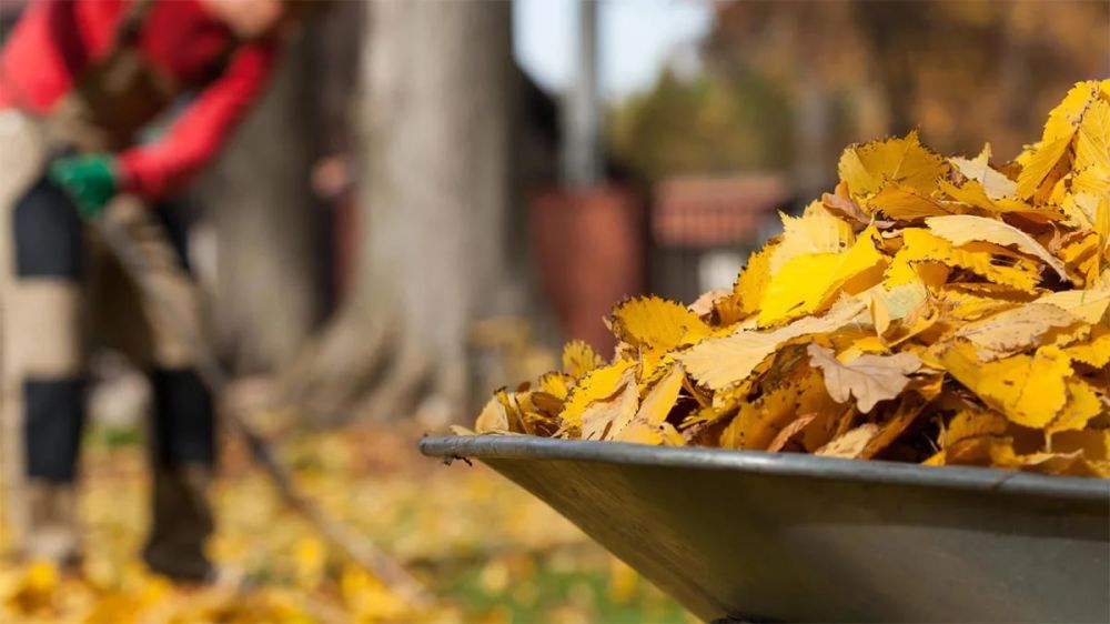 7 ������ � ������������������� ���������