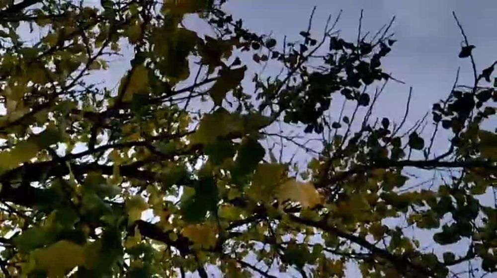 ������� ���������, ���������� � ���� � ��������� � ���, ��� ���������� �����