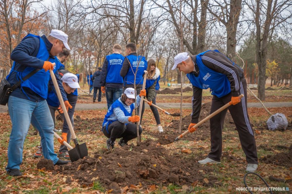 ��������������� ��������� ��� �����